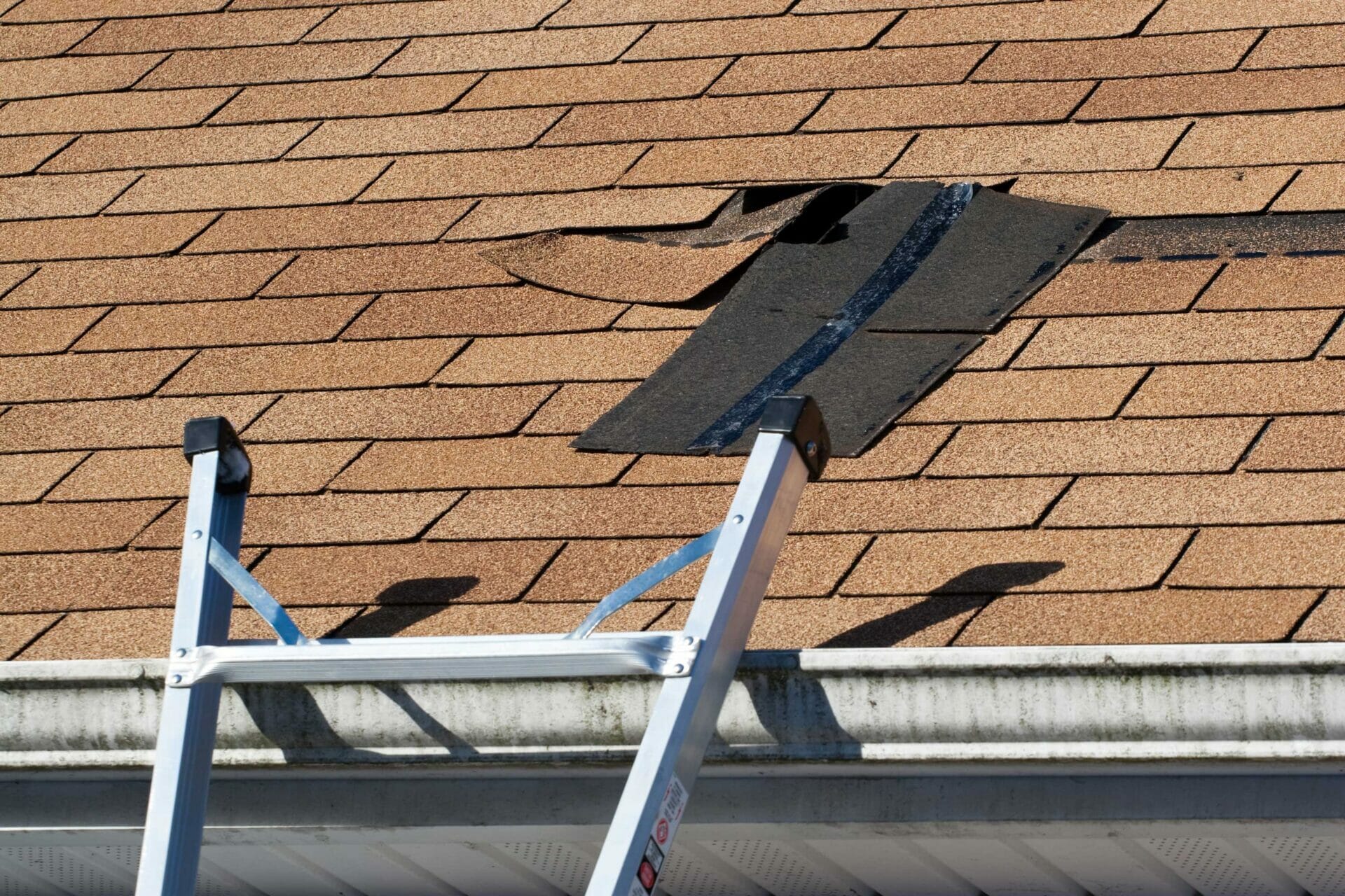 roof leak causes, leaking roof repair, Berlin