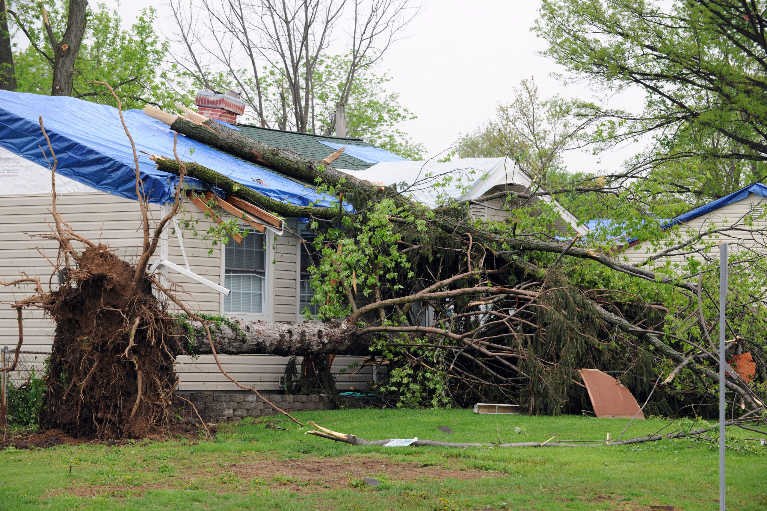 Fallen tree damages roof of home